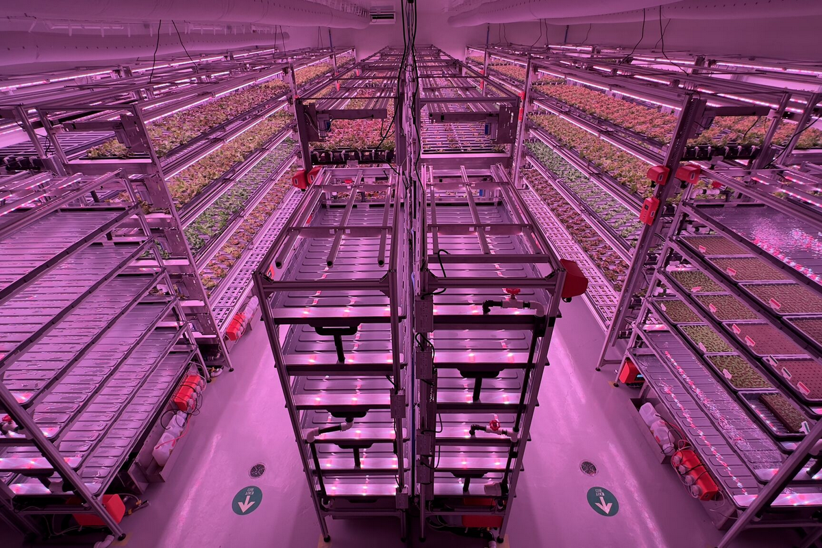 Japan Vertical farm launched which "operates on 3060 lower CapEx
