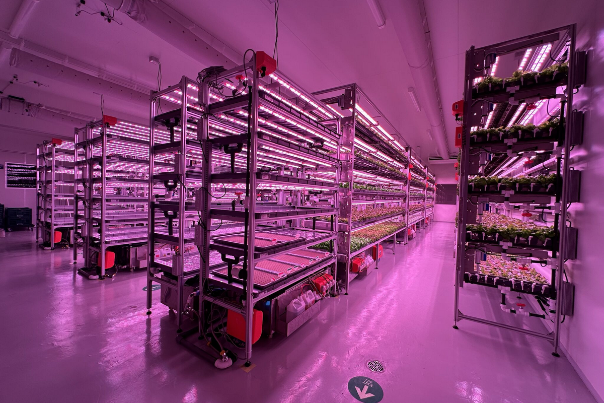 Japan Vertical farm launched which "operates on 3060 lower CapEx