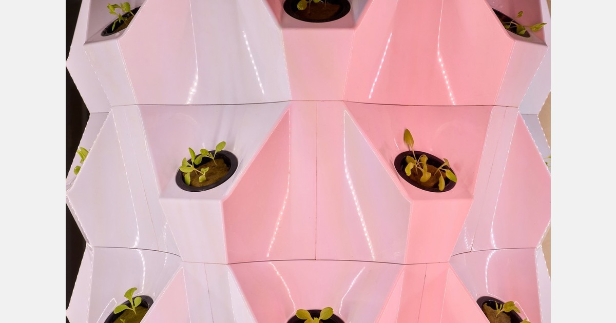 US: Florida student innovates with hydroponic kits, gives back to school program