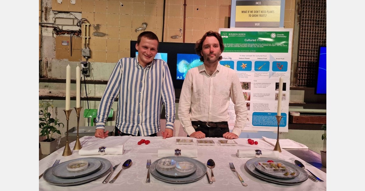 Upcoming webinar on fruit production without plants