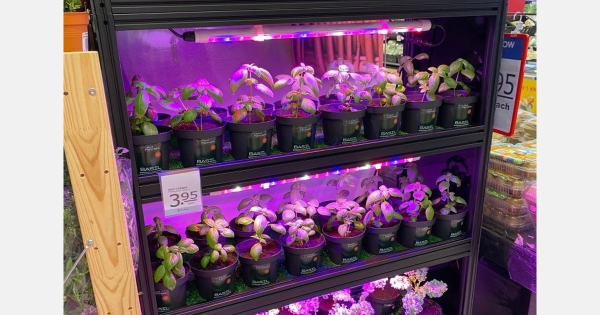 Singapore: Vertical farming comes to NTUC FairPrice outlets
