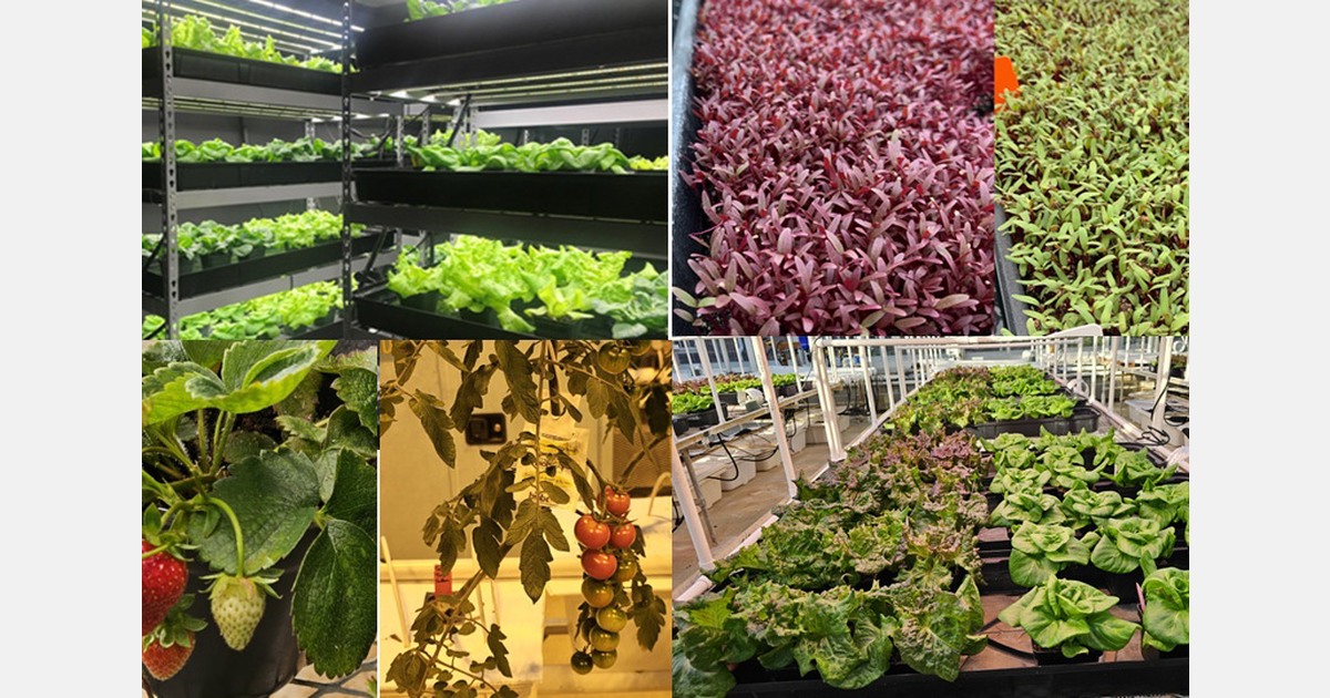 US (IN): Purdue University offers hydroponic crop production workshop