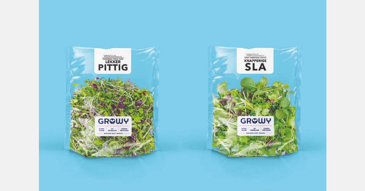 Vertical Farming's Next Frontier: How Growy is Redefining Fresh Produce Supply in Europe