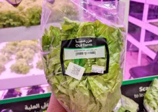 A full head of lettuce with QR codes that allow consumers to track and trace the product