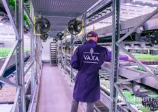 From 2021 to 2022, VAXA managed to double its revenue within the same production area and has maintained this growth month to month