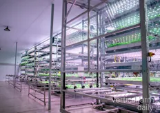 VAXA has opened a vertical farm in Sweden as well, more news to come soon