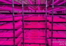 After a few hurdles, Edomae is able to now maintain a consistent growing environment for its produce