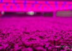 "Seven percent of our revenue goes to energy, which is a lot. The share is decreasing as sales increase, but it's still a challenge.