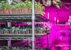 No external funding was used to build his company, just a bank loan.