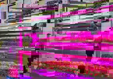 Growy's farming system