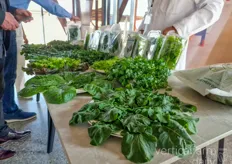 After the tour, attendees were able to try the freshly harvested greens for themselves