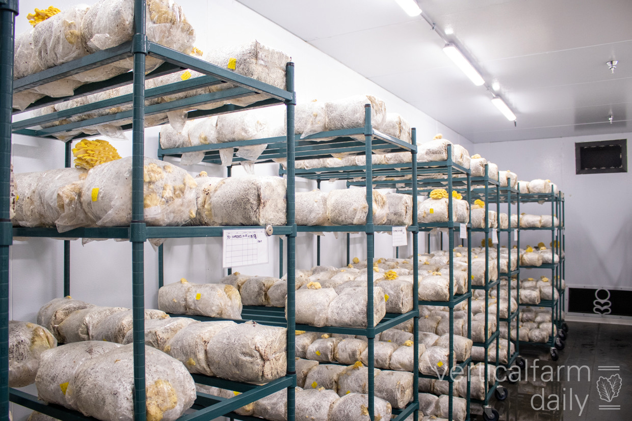 A visit to Smallhold's LA facility