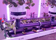 Unused space is filled up with an NFT system that grows various plants to purify the air