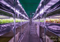 Hydroponics are used to feed the plants