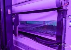 The room is covered to make sure a constant climate is kept inside the vertical farm 